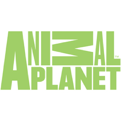 Animal Planet